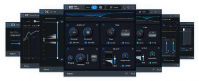 iZotope RX11 Elements - Download i gruppen Live & Studio / Mjukvara hos Musikanten i Umeå AB (1124721)