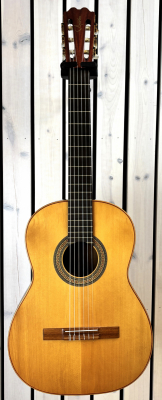 Bj�rton nylonstr�ngad med case - begagnad i gruppen Str�nginstrument / Gitarr / Nylonstr�ngade hos Musikanten i Ume� AB (M700657)