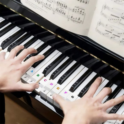 Shelter Key Sticks i gruppen Klaviatur / Tillbeh�r / �vrigt hos Musikanten i Ume� AB (SHKEYSTICKS)