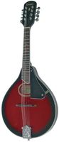 GEWApure Mandolin