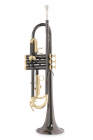 Roy Benson TR-101K Trumpet - Svart