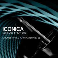 Steinberg Iconica Sections & Players - Download