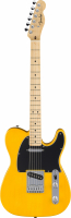Fender Standard Telecaster - Butterscotch Blonde