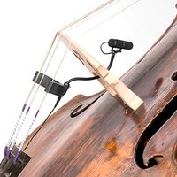 DPA d:vote 4099 CORE - Kontrabasmikrofon