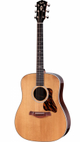 Taylor Gold Label 710e