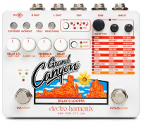 Electro Harmonix Grand Canyon Delay & Looper