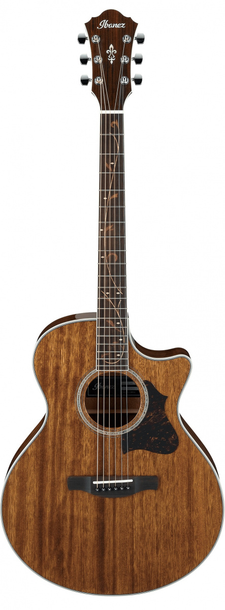 Ibanez AE245-NT - Natural