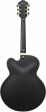 Ibanez AF75G - Black Flat Ibanez AF75G - Black Flat