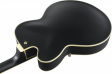 Ibanez AF75G - Black Flat Ibanez AF75G - Black Flat