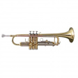 Soundsation STPGD-10 Trumpet - Demodeal