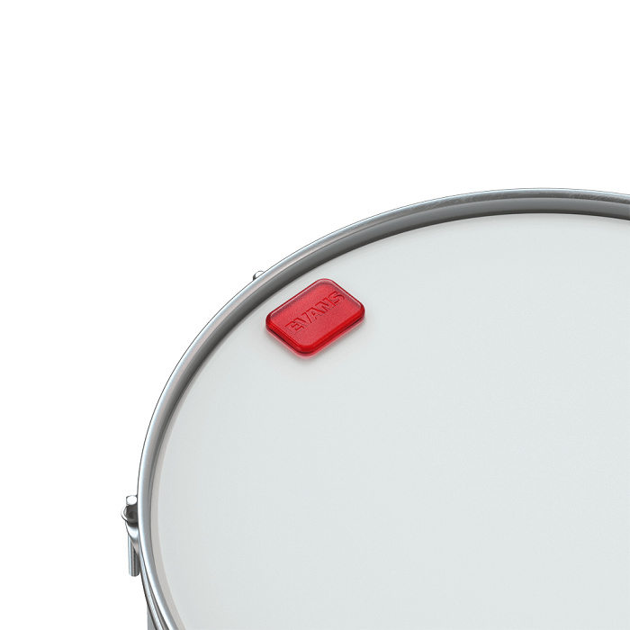 Evans EQ Pods - Moon gel