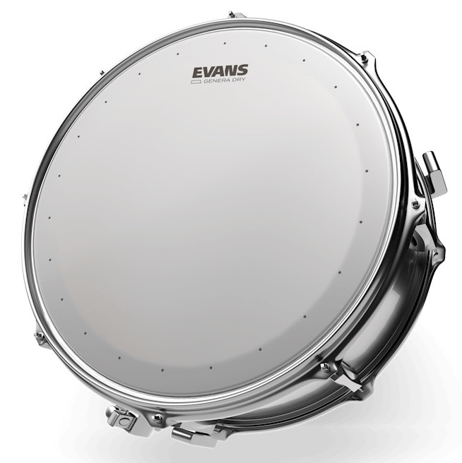 Evans B14DRY Genera Dry Coated - 14