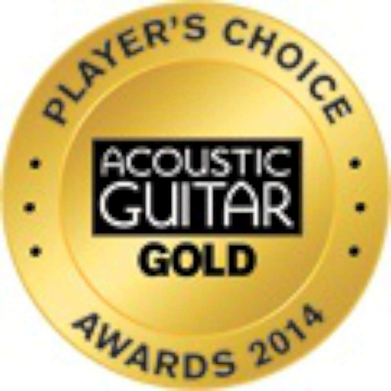 LR Baggs Anthem Mikrofonsystem Akustisk Gitarr