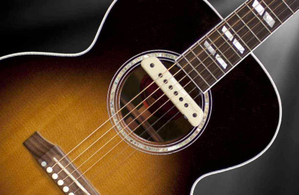 LR Baggs M1 Aktiv Ljudh�lsmikrofon