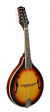 Richwood RMA-60 Mandolin - Vintage Sunburst