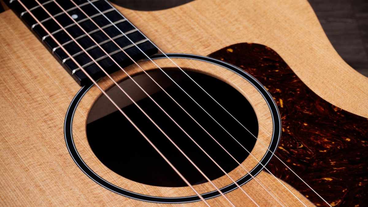 N�rbild p� plekrumskyddet 