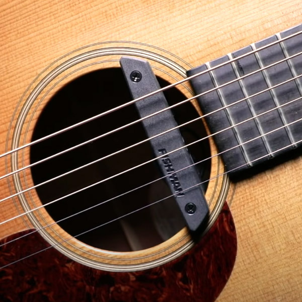 Fishman Rare Earth Humbucker