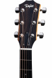 Taylor 214ce Plus Grand Auditorium Taylor 214ce Plus Grand Auditorium