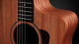 Taylor 24ce Grand Auditorium Närbild cutaway