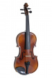 Gewa Allegro Violinset [Carbon Bow] - 4/4