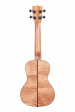 Kala Exotic Mahogany Concert Ukulele Kala Exotic Mahogany Concert Ukulele