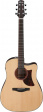 Ibanez AAD170CE-LGS Advanced Acoustic Ibanez AAD170CE-LGS Advanced Acoustic