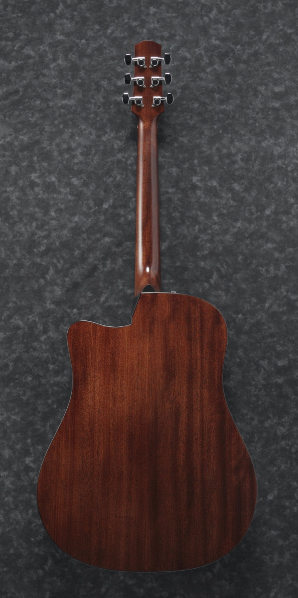 Ibanez AAD170CE-LGS Advanced Acoustic