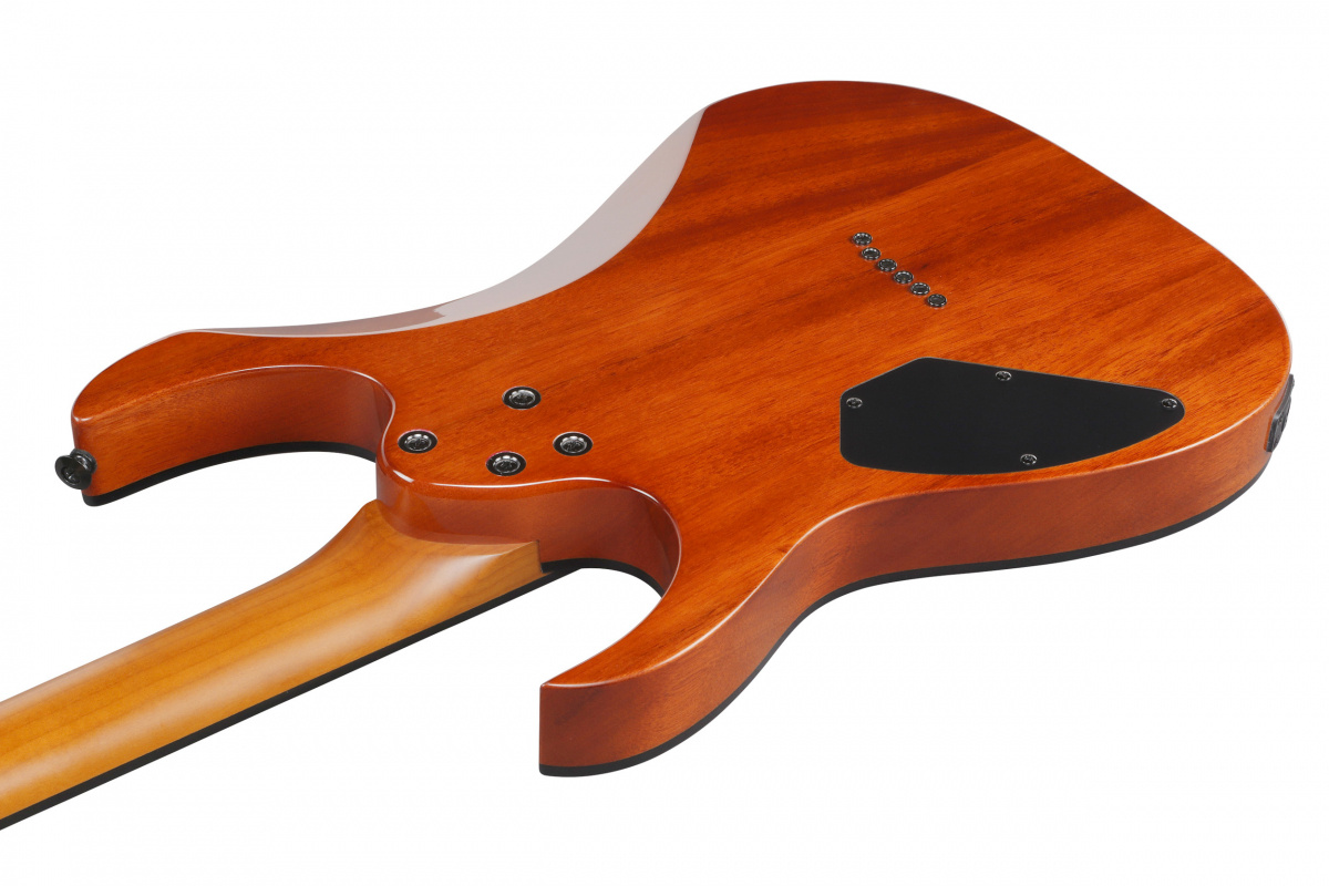 Ibanez GRGR221FA - Transparent Indigo Black