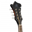 Ortega RMFE30-WB Mandolin Ortega RMFE30-WB Mandolin