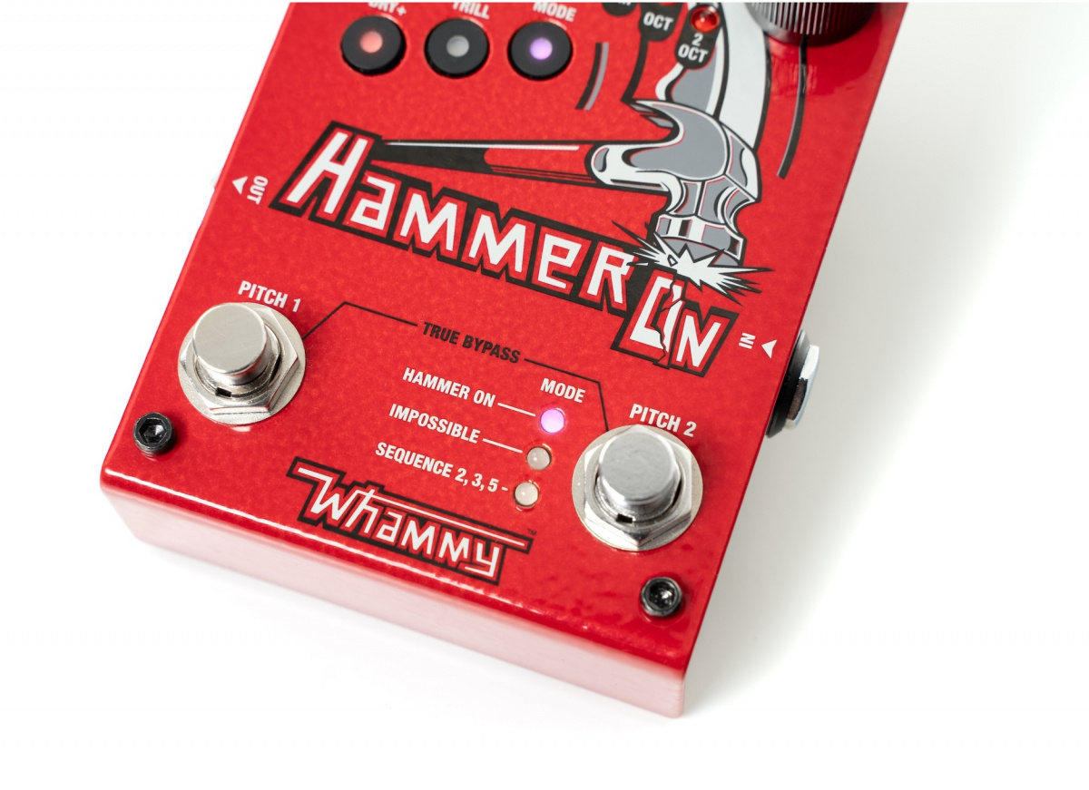 Digitech Whammy Hammer On