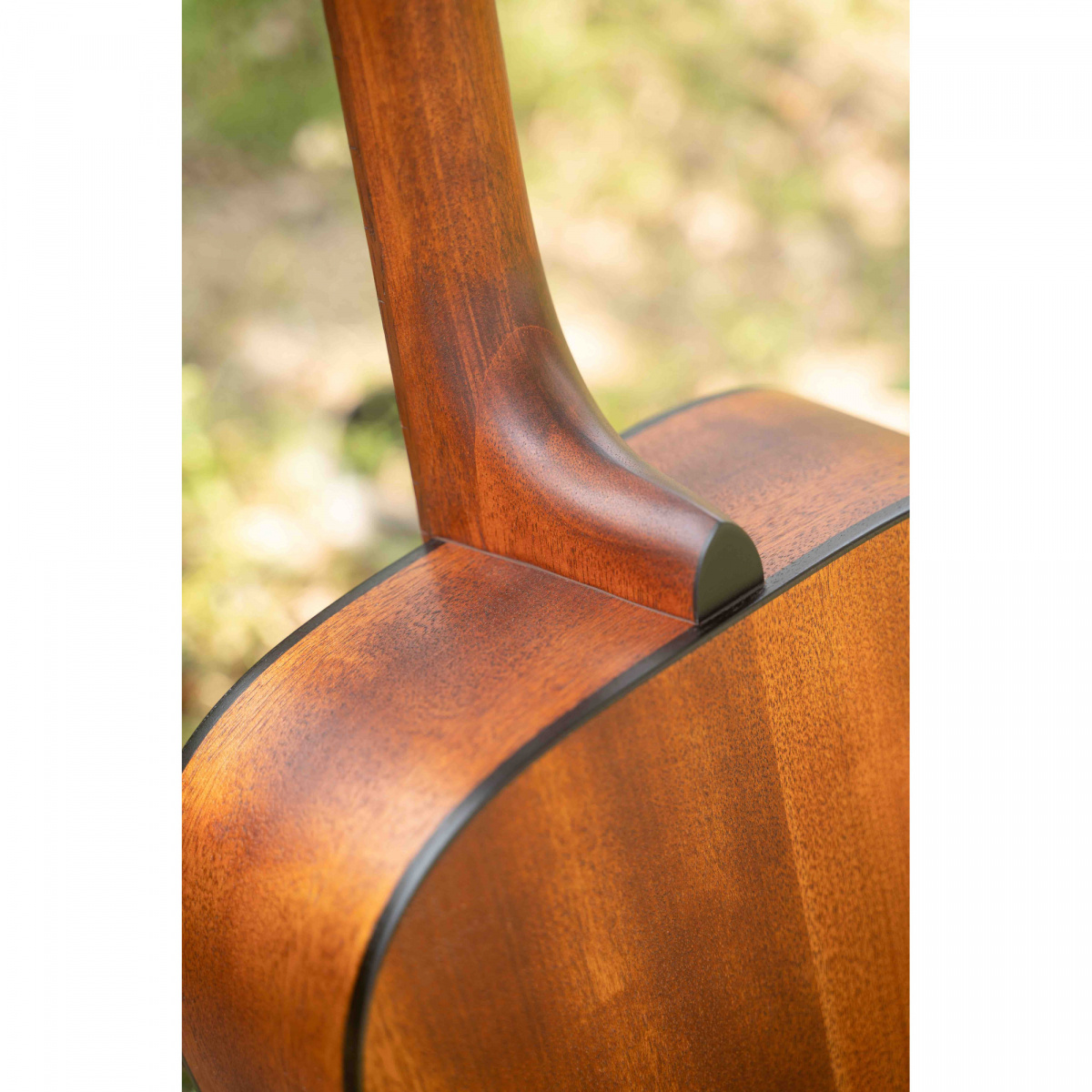 St�lstr�ngad akustisk gitarr fr�n Cort.