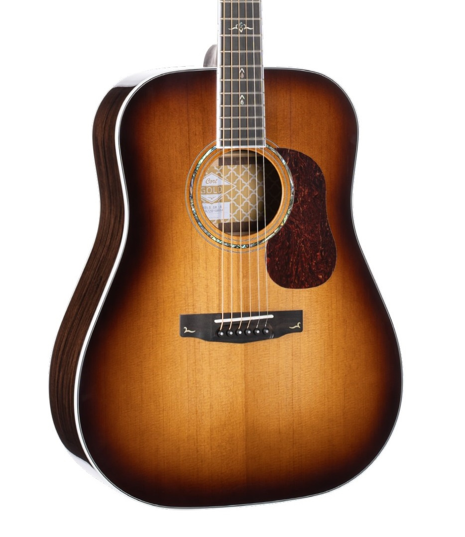 Cort Gold-D8 [case included]