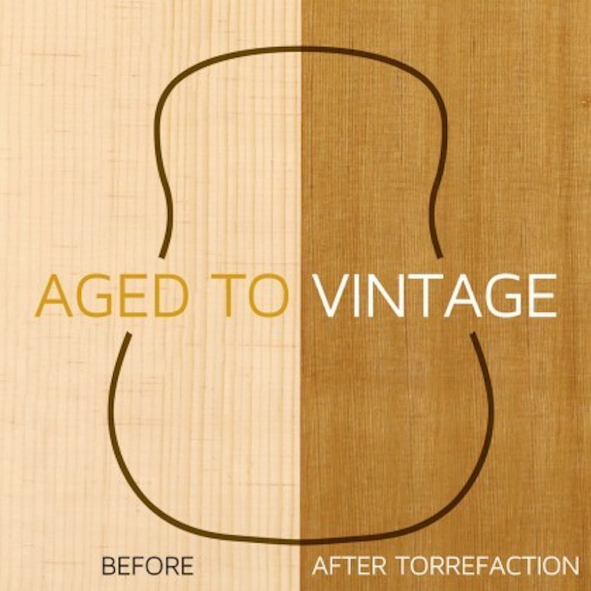 Cort Gold-D8 [case included]