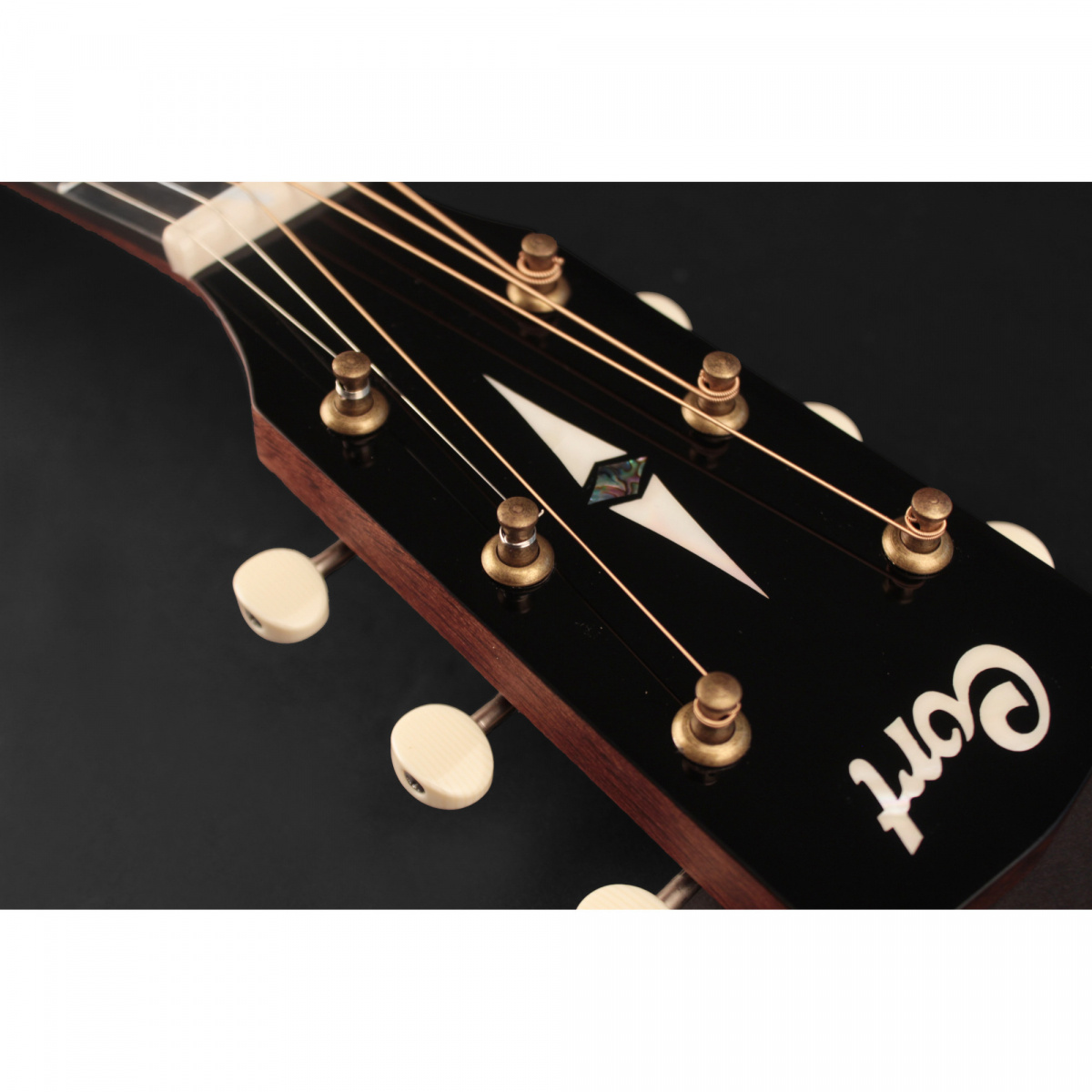 Cort Earth 100SSF - Sunburst