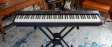 Roland RD-08 Stage Piano Kompakt stagepiano från erkända Roland