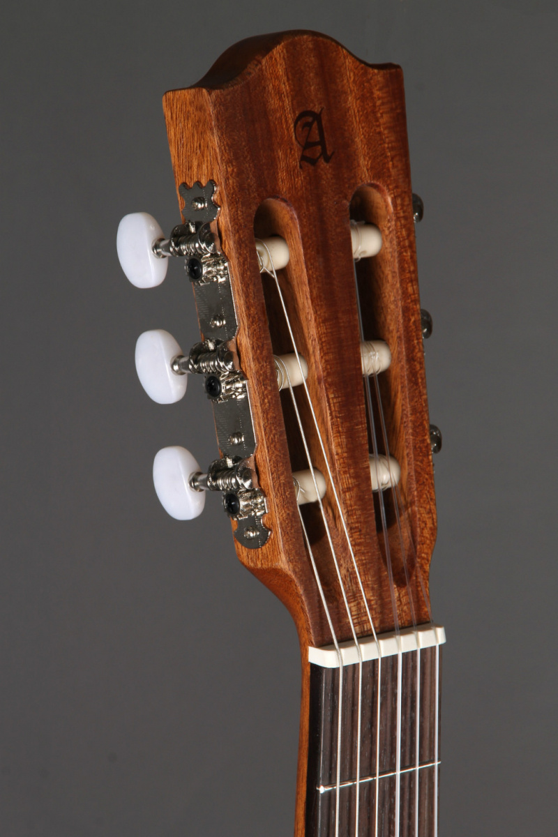 Alhambra Z Nature CWEZ Cutaway Electric