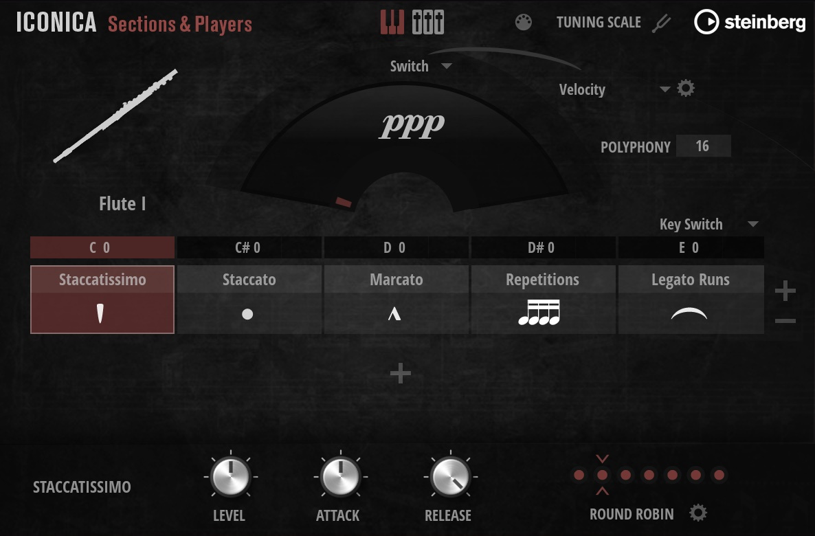 Steinberg Iconica Sections & Players - Download
