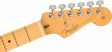 Fender American Professional II Stratocaster - Olympic White [mn]