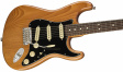Fender American Professional II Stratocaster - Roasted Pine