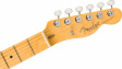 Fender American Professional Classic Telecaster - FSGM Fender American Professional Classic Telecaster - FSGM
