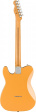 Fender Player Plus Nashville Telecaster - BTB
