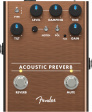 Fender Acoustic Preverb Preamp / Reverb