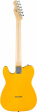 Fender Standard Telecaster - Butterscotch Blonde Fender Standard Telecaster - Butterscotch Blonde