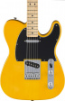 Fender Standard Telecaster - Butterscotch Blonde Fender Standard Telecaster - Butterscotch Blonde