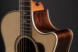 Taylor 814ce V-Class Taylor 814ce V-Class