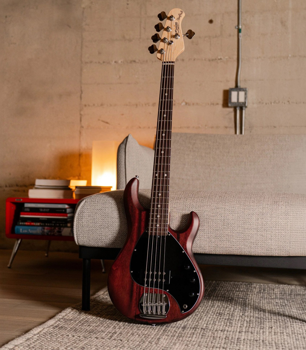 Sterling by Music Man Stingray RA5 elbas i walnut satin