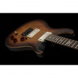 PRS SE Exotic DGT Laurel Burl David Grissom PRS SE Exotic DGT Laurel Burl David Grissom