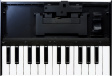 Roland K-25M Boutique Keyboard Roland K-25M Boutique Keyboard