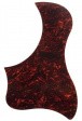 Taylor Pickguard 5 - Tortoise Plektrumskydd Taylor Pickguard 5 - Tortoise Plektrumskydd