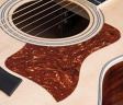 Taylor Pickguard 5 - Tortoise Plektrumskydd Taylor Pickguard 5 - Tortoise Plektrumskydd